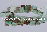 CTD2885 Top drilled 15*20mm - 25*45mm freeform australia chrysoprase beads