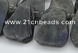 CTD334 Top drilled 15*20mm - 25*30mm freeform labradorite beads