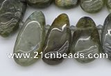 CTD3531 Top drilled 10*22mm - 15*45mm freeform labradorite beads