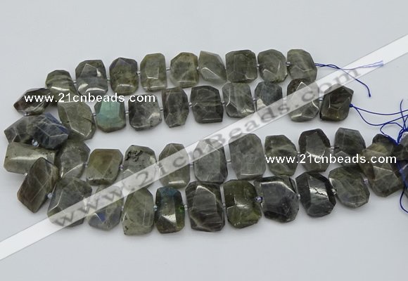 CTD3573 15.5 inches 15*20mm - 18*25mm freeform labradorite beads