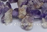 CTD3602 Top drilled 10*14mm - 13*18mm nuggets dogtooth amethyst beads