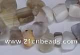 CTD3609 Top drilled 10*14mm - 13*18mm nuggets botswana agate beads