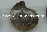 CTD365 Top drilled 25*35mm - 35*45mm carved ammonite gemstone beads