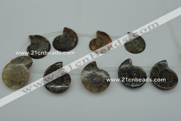 CTD365 Top drilled 25*35mm - 35*45mm carved ammonite gemstone beads