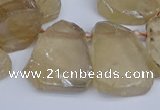 CTD3681 Top drilled 15*20mm - 25*30mm freeform plated white crystal beads