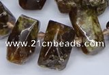 CTD3706 Top drilled 10*15mm - 15*25mm faceted nuggets garnet beads