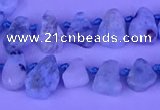 CTD3859 Top drilled 6*8mm - 10*12mm freeform larimar beads