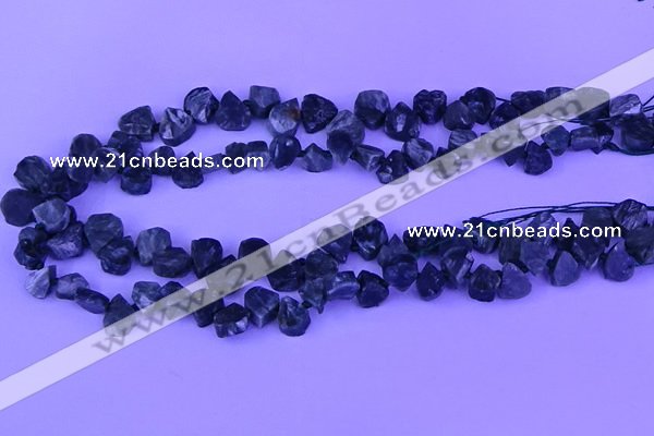 CTD3861 Top drilled 8*10mm - 10*12mm freeform seraphinite beads