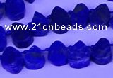 CTD3862 Top drilled 8*10mm - 10*12mm freeform lapis lazuli beads