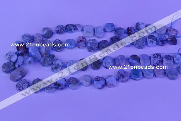 CTD3889 Top drilled 12*16mm - 13*17mm freeform larimar beads