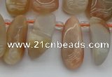 CTD447 Top drilled 10*20mm - 15*30mm freeform moonstone beads