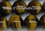 CTE1223 15.5 inches 16mm round AB+ grade yellow tiger eye beads