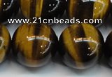 CTE1247 15.5 inches 16mm round AA grade yellow tiger eye beads