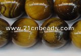 CTE1315 15.5 inches 16mm round B grade yellow tiger eye beads