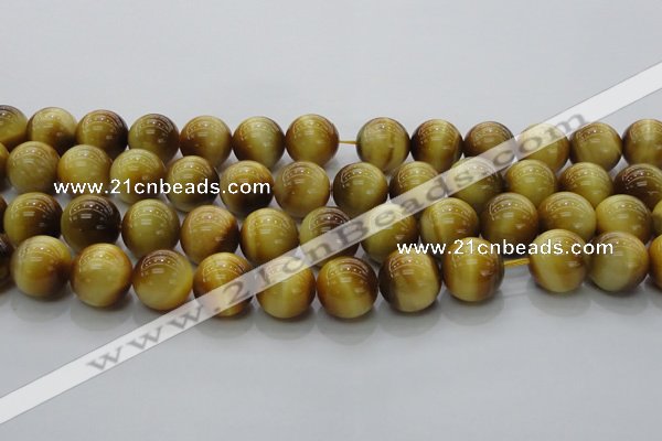 CTE1405 15.5 inches 14mm round golden tiger eye beads wholesale