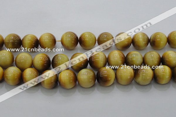 CTE1406 15.5 inches 16mm round golden tiger eye beads wholesale