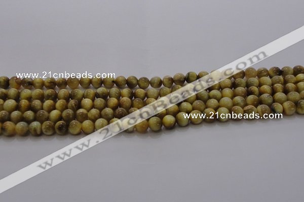 CTE1411 15.5 inches 6mm round golden tiger eye beads wholesale