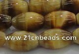 CTE1518 15.5 inches 12*16mm rice golden tiger eye beads wholesale