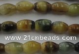 CTE1551 15.5 inches 5*8mm rice golden & blue tiger eye beads wholesale