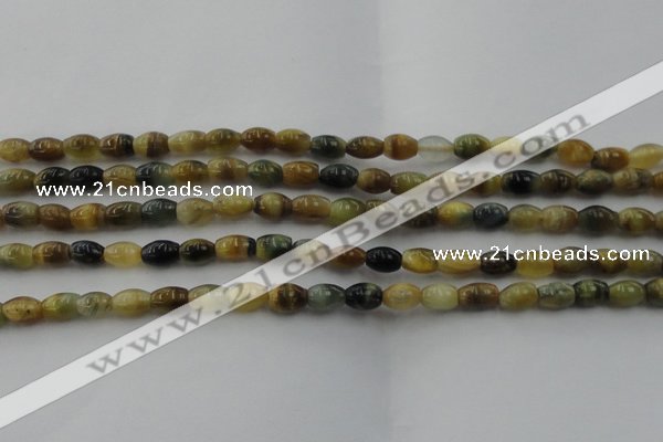 CTE1551 15.5 inches 5*8mm rice golden & blue tiger eye beads wholesale