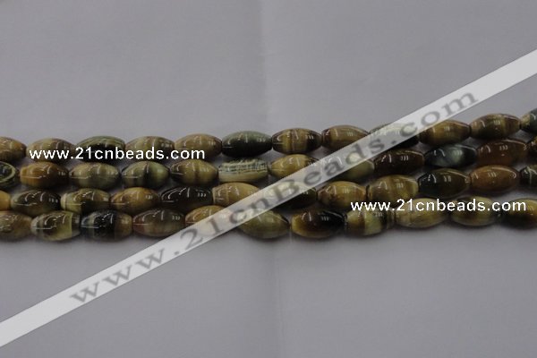 CTE1553 15.5 inches 8*12mm rice golden & blue tiger eye beads wholesale