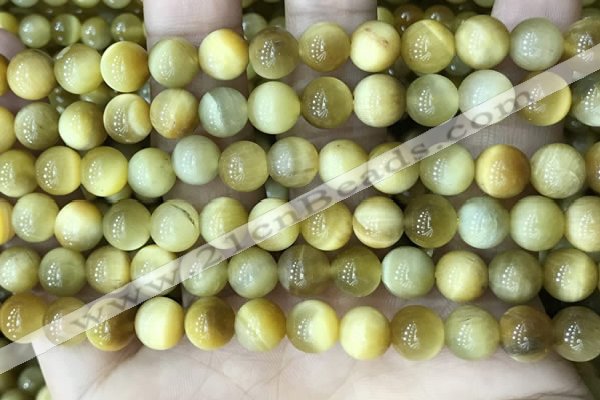 CTE2009 15.5 inches 8mm round golden tiger eye beads wholesale