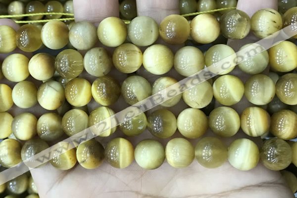 CTE2010 15.5 inches 10mm round golden tiger eye beads wholesale