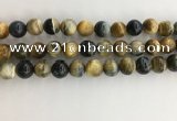 CTE2123 15.5 inches 12mm round golden & blue tiger eye beads