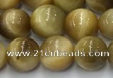 CTE2141 15.5 inches 8mm round golden tiger eye beads wholesale