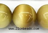 CTE2387 15 inches 16mm round golden tiger eye beads