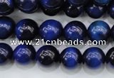 CTE417 15.5 inches 10mm round blue tiger eye beads wholesale