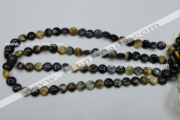 CTE560 15.5 inches 10mm flat round golden & blue tiger eye beads