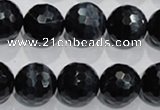 CTE925 15.5 inches 14mm faceted round silver tiger eye beads