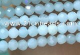 CTG1049 15.5 inches 2mm faceted round tiny amazonite beads