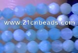 CTG1050 15.5 inches 2mm faceted round tiny amazonite beads