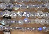 CTG1078 15.5 inches 2mm faceted round tiny labradorite beads