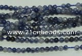 CTG115 15.5 inches 2mm round tiny sodalite gemstone beads wholesale