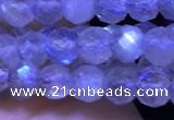 CTG1209 15.5 inches 4mm faceted round tiny labradorite beads