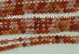 CTG123 15.5 inches 2mm round grade A tiny red agate beads wholesale