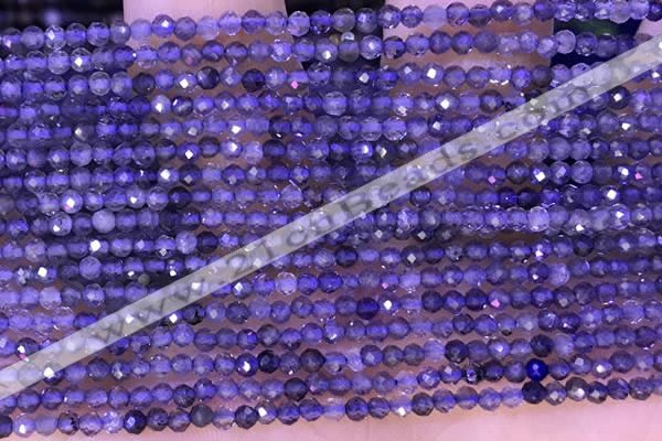 CTG1329 15.5 inches 2mm faceted round iolite beads wholesale