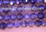 CTG1330 15.5 inches 3mm faceted round iolite beads wholesale
