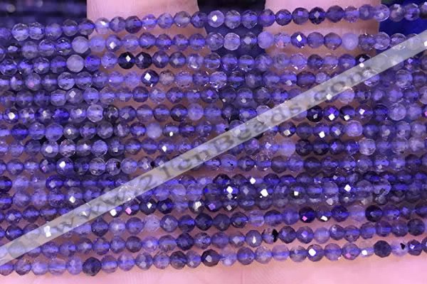 CTG1330 15.5 inches 3mm faceted round iolite beads wholesale