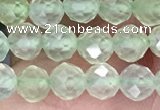 CTG1349 15.5 inches 5mm faceted round prehnite beads wholesale