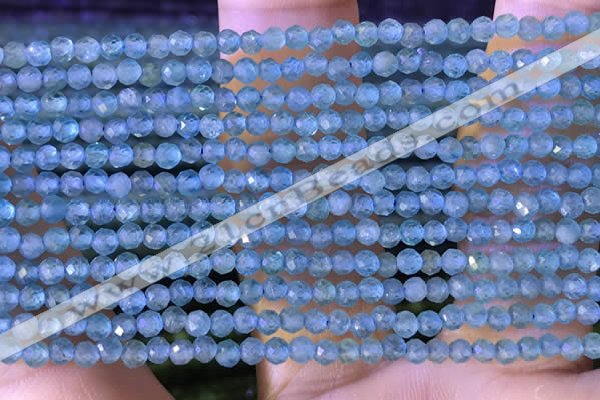 CTG1380 15.5 inches 2mm faceted round tiny apatite beads