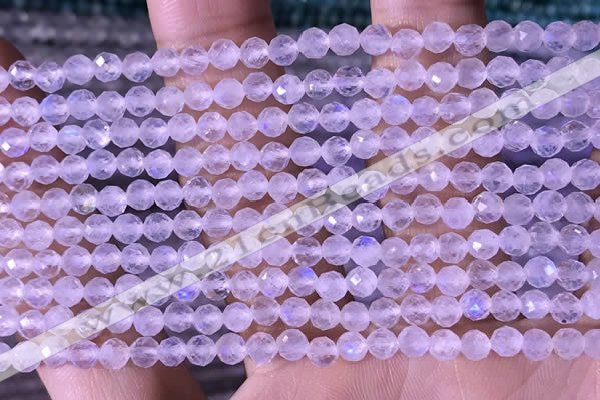 CTG1394 15.5 inches 4mm faceted round tiny white moonstone beads