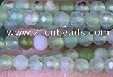 CTG1414 15.5 inches 2mm faceted round Australia chrysoprase beads