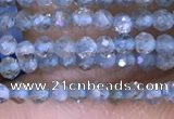 CTG1416 15.5 inches 2mm faceted round apatite beads wholesale