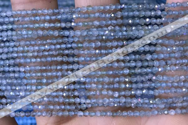 CTG1416 15.5 inches 2mm faceted round apatite beads wholesale