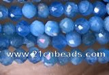 CTG1418 15.5 inches 2mm faceted round apatite beads wholesale