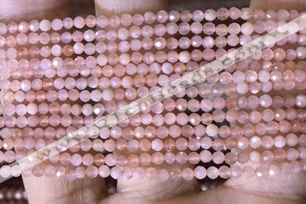 CTG1453 15.5 inches 2mm faceted round moonstone beads wholesale